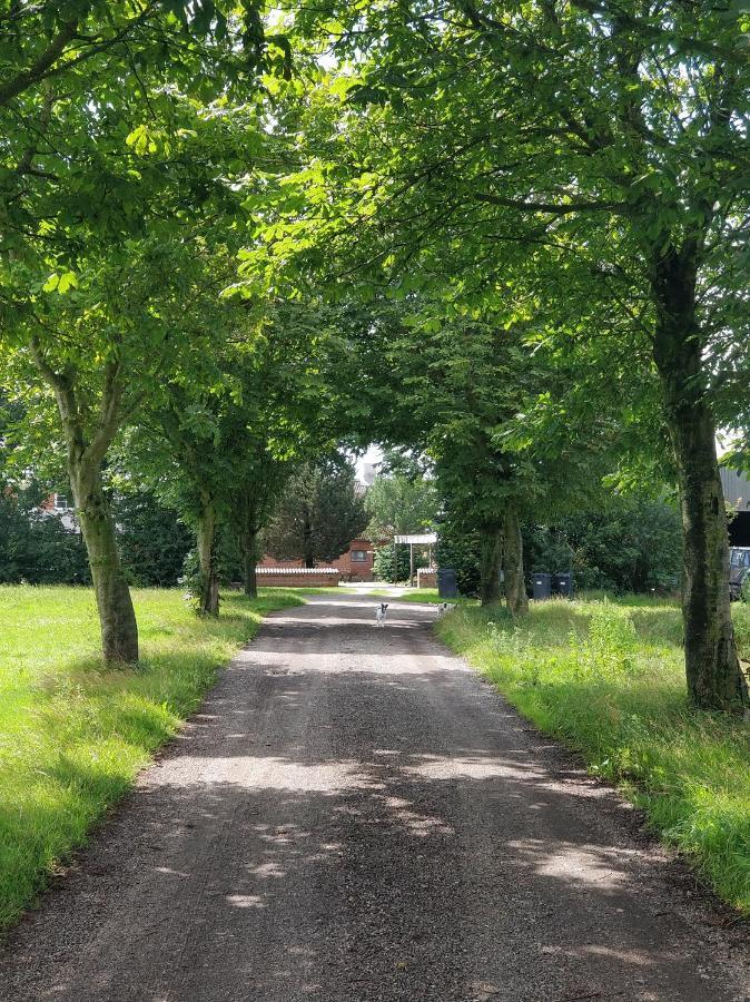 Kristinebjerg Lägenhet Jelling Exteriör bild