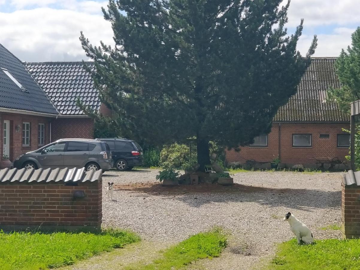 Kristinebjerg Lägenhet Jelling Exteriör bild